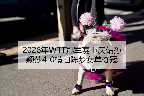 2026年WTT冠军赛重庆站孙颖莎4-0横扫陈梦女单夺冠